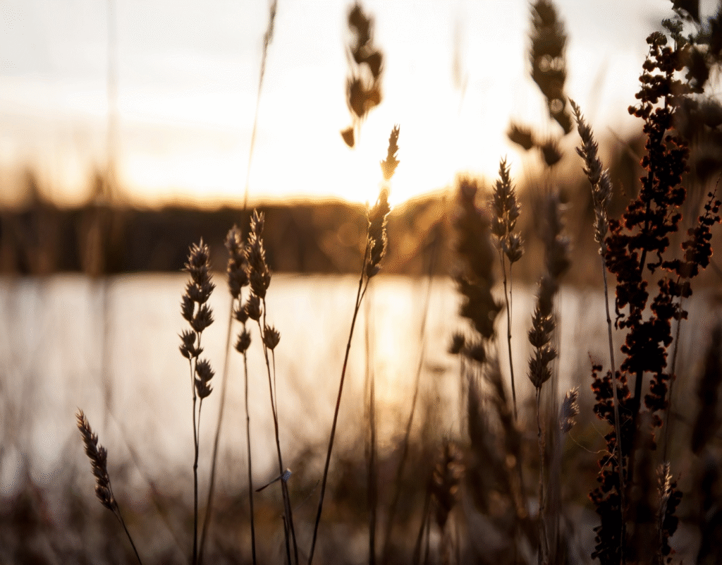 vad kostar healing i Kungsbacka